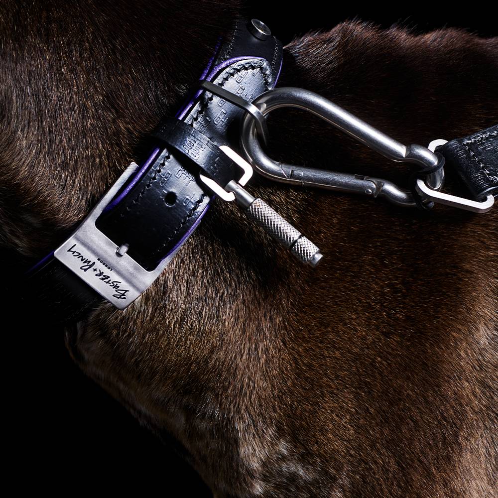 DOG COLLAR / CROSS / BLACK / PURPLE - Image 3