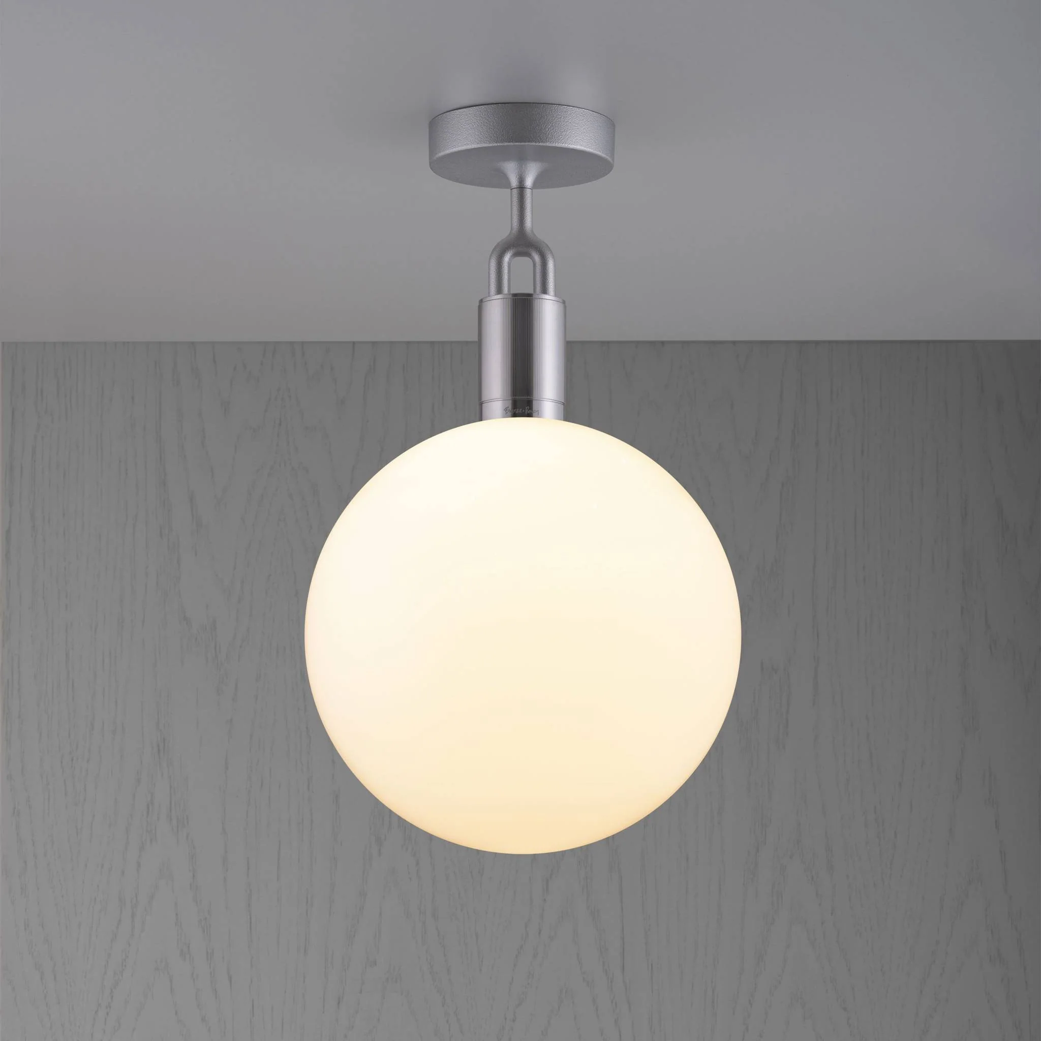 FORKED GLOBE / LARGE - Image 2